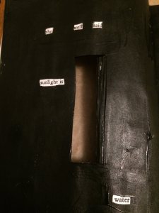 Calvino erasure - the sunlight is water