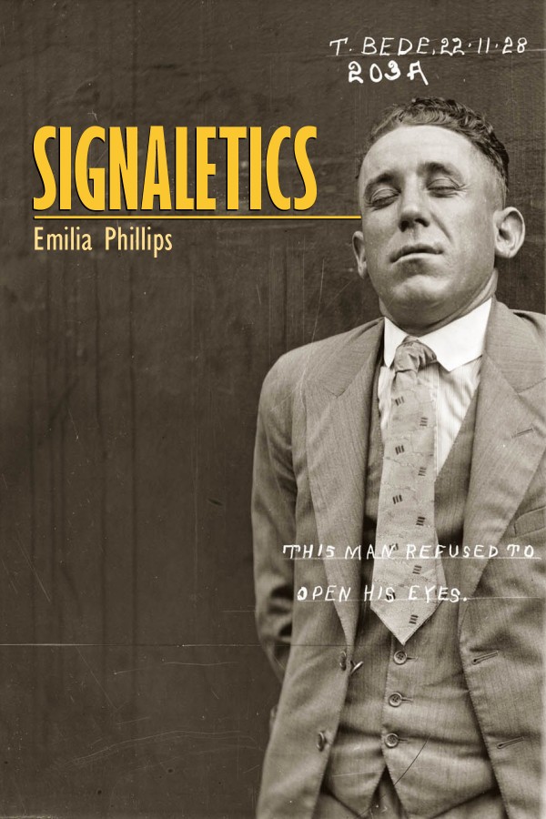 Signaletics by Emilia Phillips cover