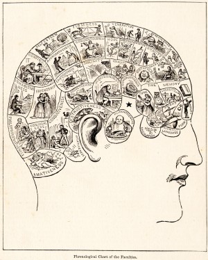 Phrenology diagram. From People's Cyclopedia of Universal Knowledge (1883).