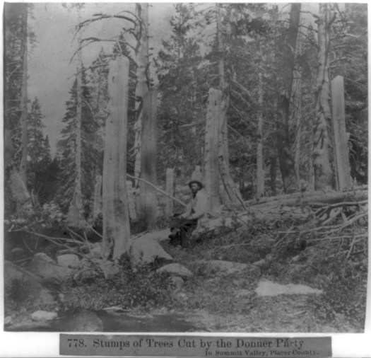 "Stumps of trees cut by the Donner Party in Summit Valley, Placer County" Grayscaled albumen print, half stereograph. (1866) via the Library of Congress