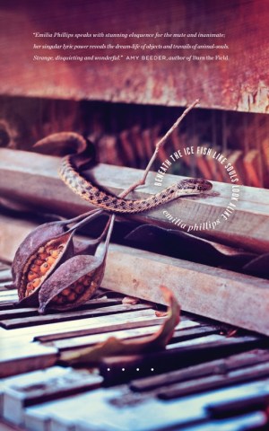 Beneath the Ice Cover