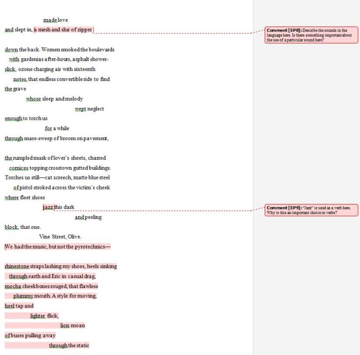 Ornithology Poetry Analysis Exercise screenshot - 2