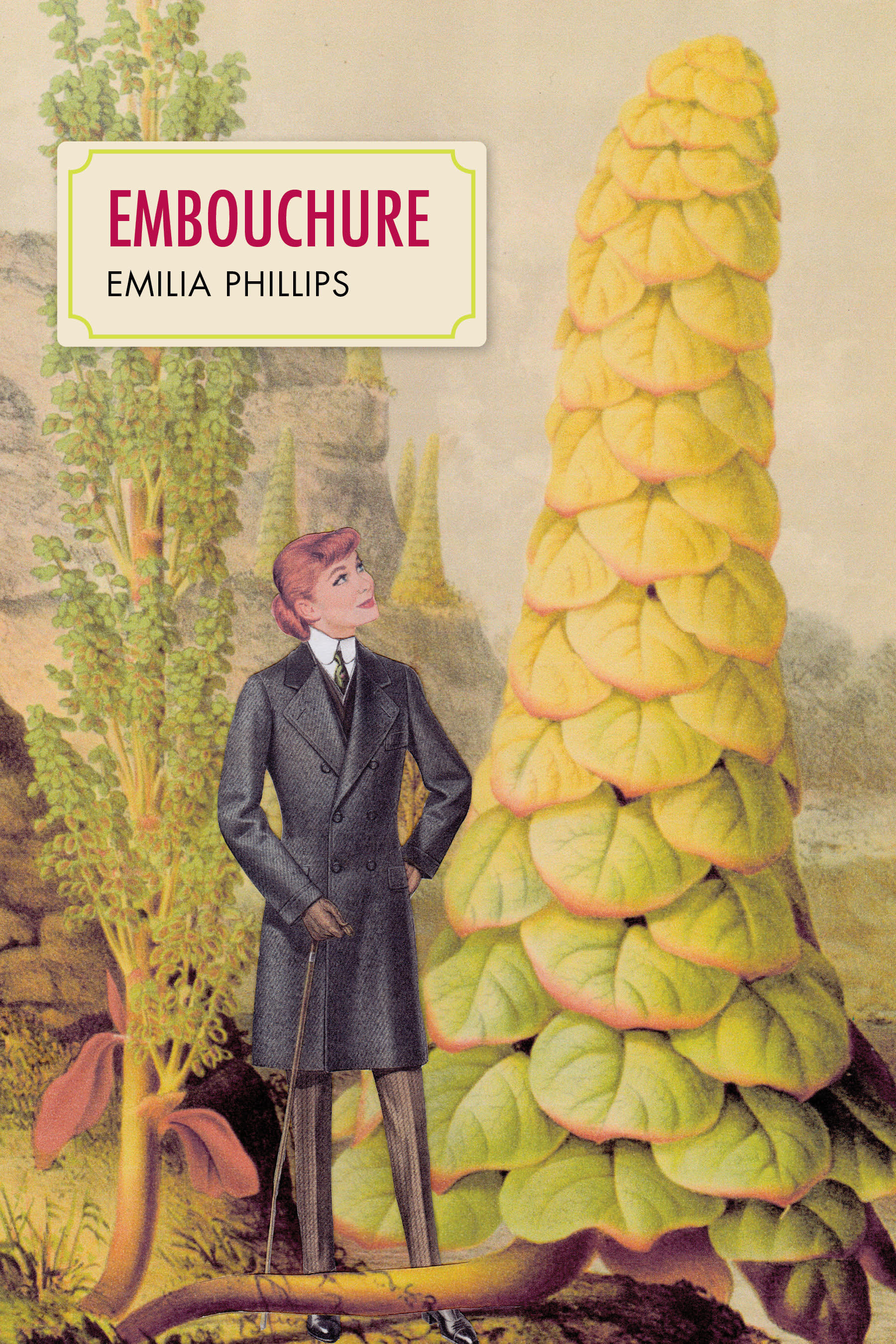 Embouchure by Emilia Phillips cover