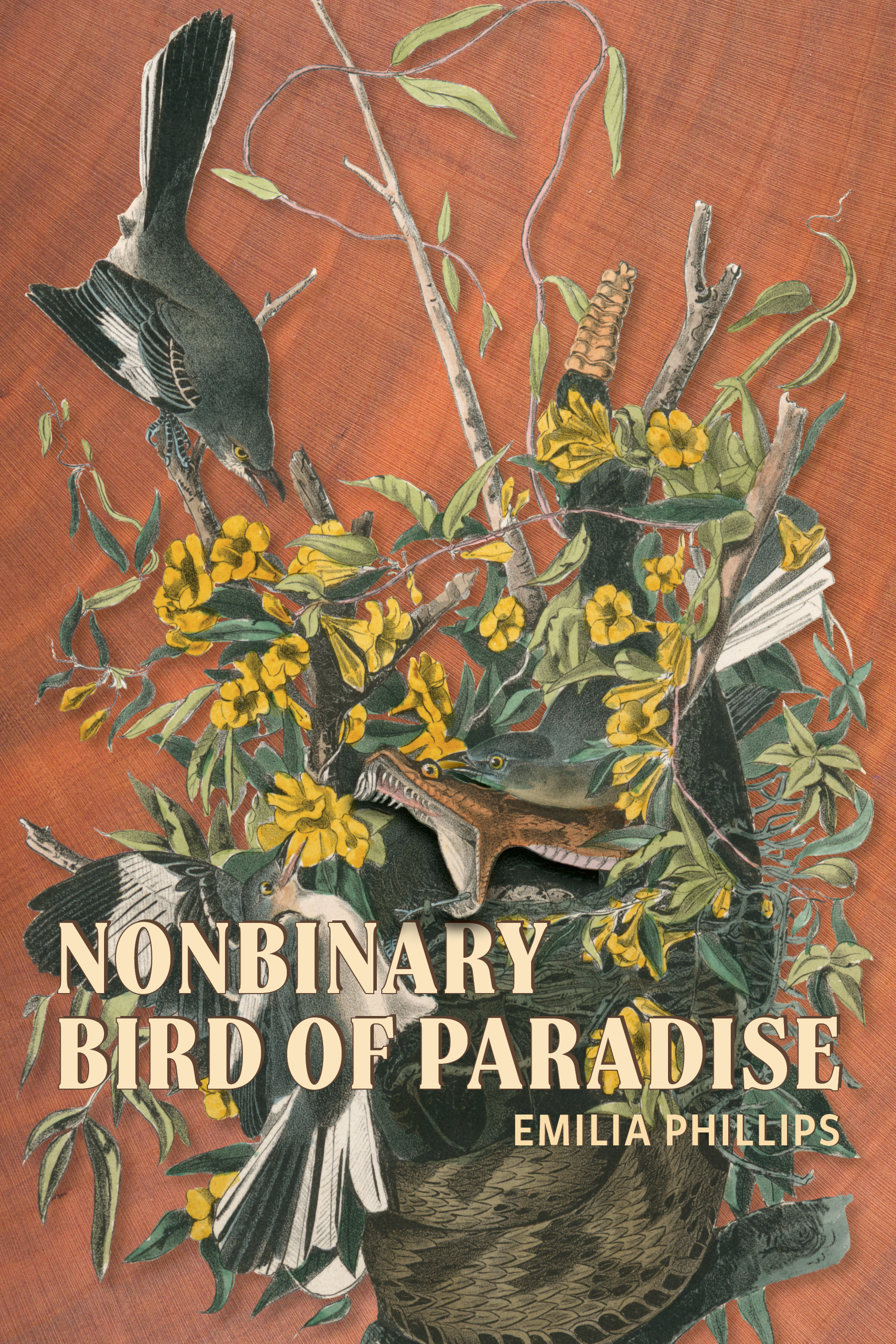 Cover image of Nonbinary Bird of Paradise (University of Akron Press, 2024) by Emilia Phillips. The image is taken from John James Audubon's The Birds of America, and it features a snake fighting two male and two female mockingbirds amidst foliage.